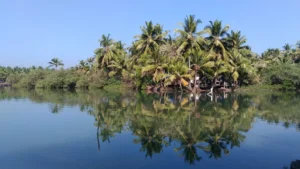 Kasaragod